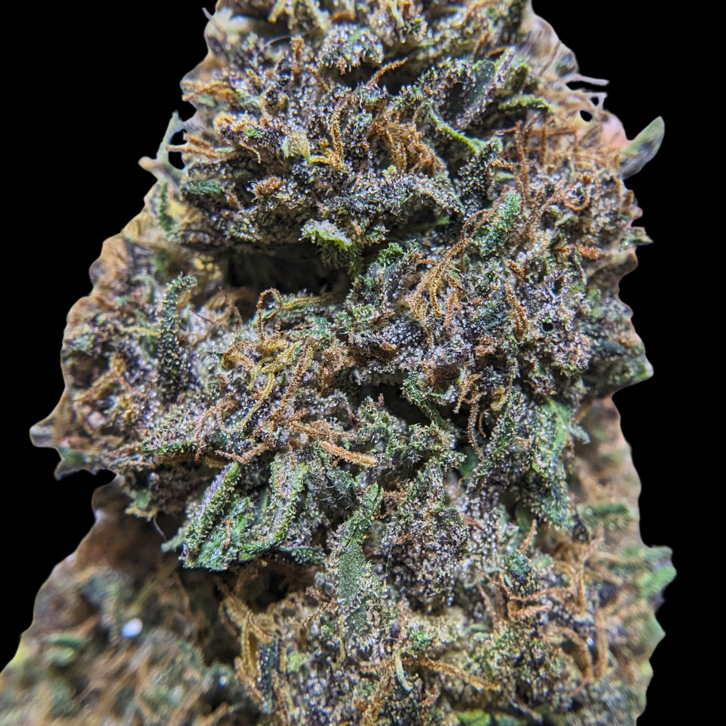 Fleurs de CBD PINEAPPLE MIMOSA