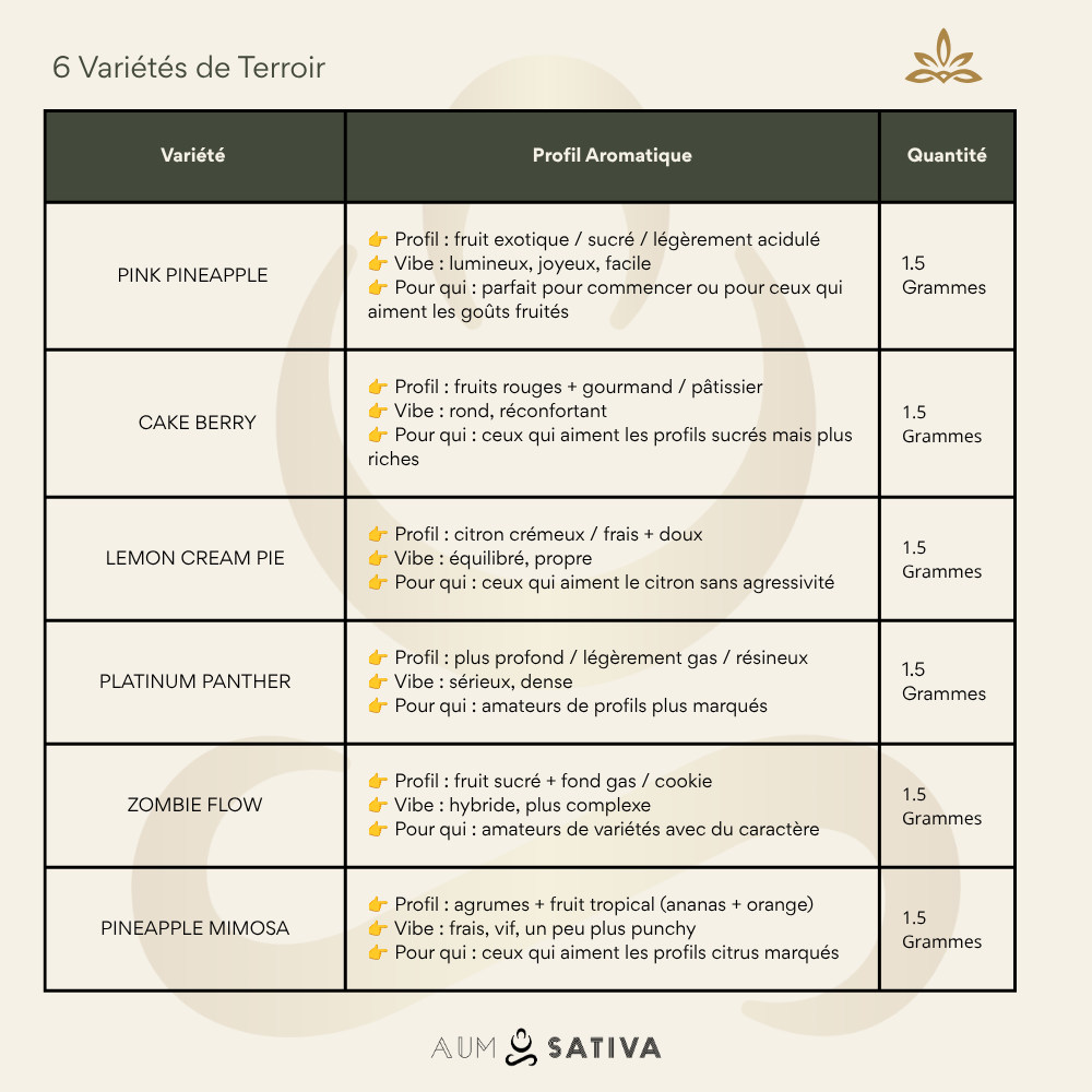 Pack Découverte Aum Sativa