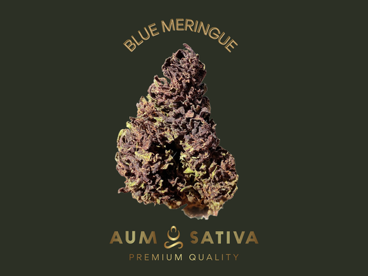 Fleurs de CBD BLUE MERINGUE