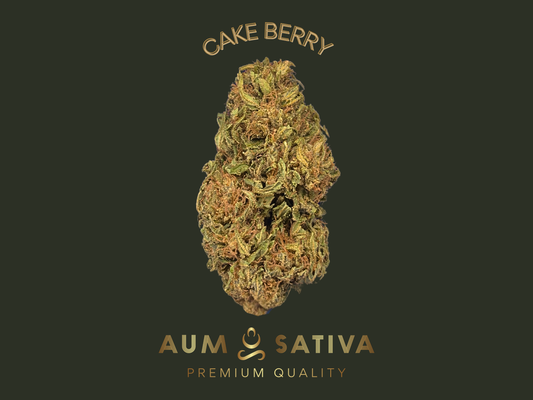 Fleurs de CBD CAKE BERRY