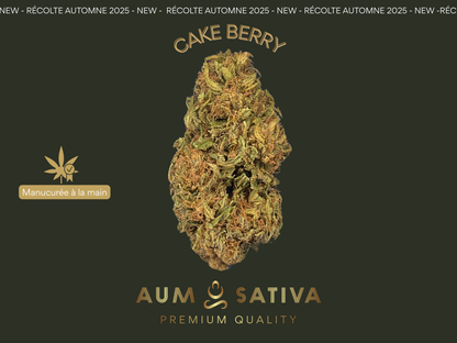 Fleurs de CBD CAKE BERRY