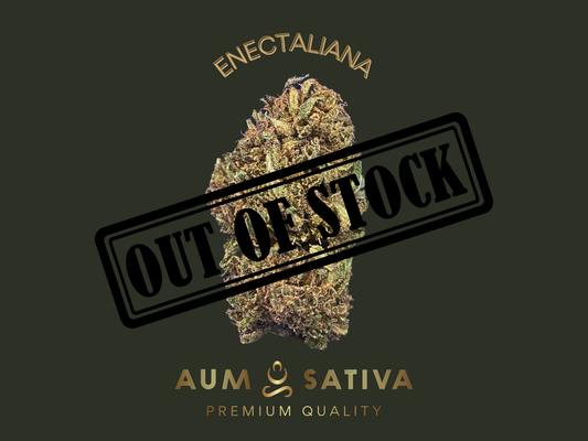 Fleurs de CBD ENECTALIANA