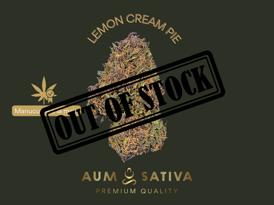 visuel rupture de stock lemon cream pie 