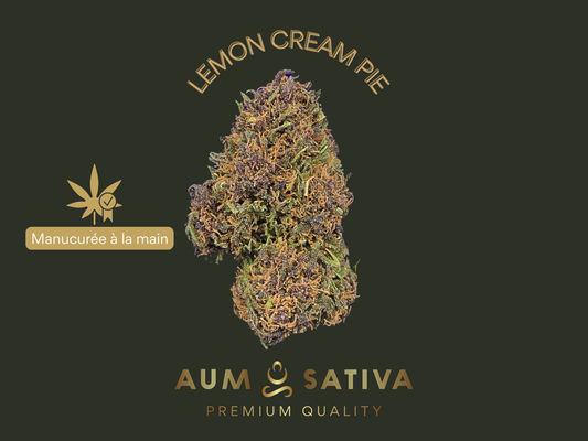CBD Premium français : Lemon Cream Pie, lozere, cevennes, pureté et haute vibration
