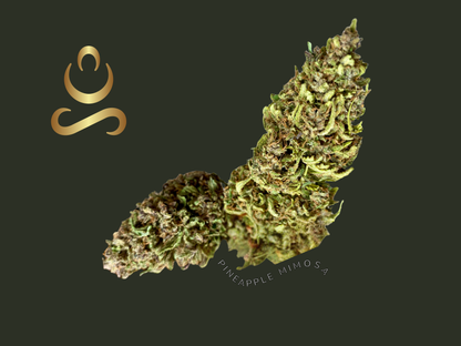 Fleurs de CBD PINEAPPLE MIMOSA