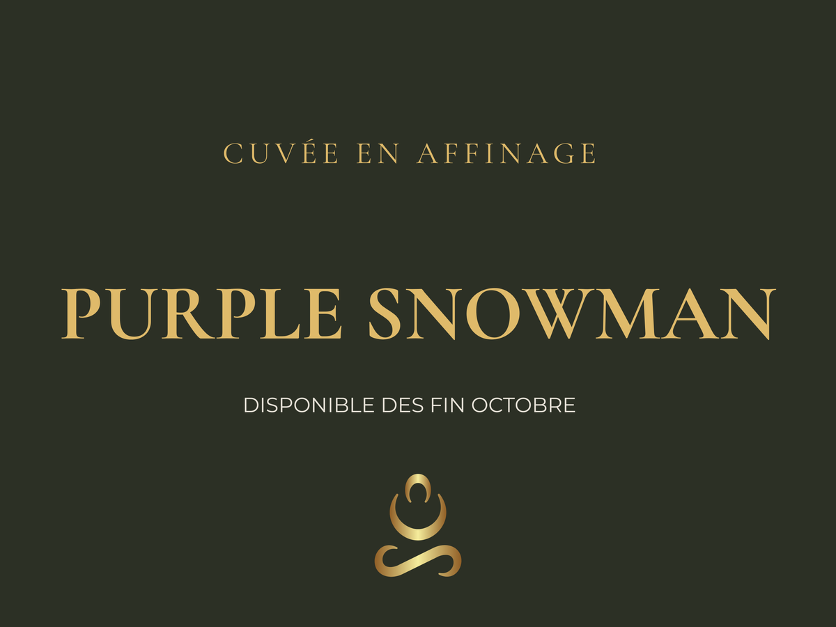 Fleur de CBD bio Purple Snowman en cours d'affinage - Cuvée 2026 Aum Sativa cultivée en Lozère