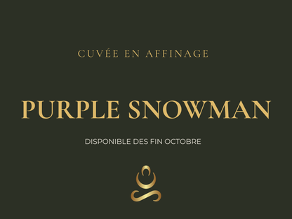 Fleur de CBD bio Purple Snowman en cours d'affinage - Cuvée 2026 Aum Sativa cultivée en Lozère
