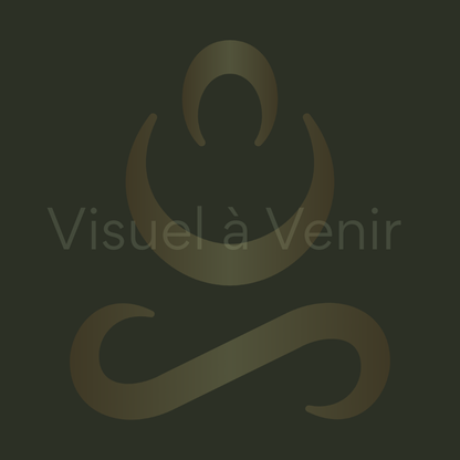 Pack Découverte Aum Sativa