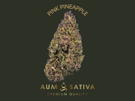 Fleurs de CBD PINK PINEAPPLE