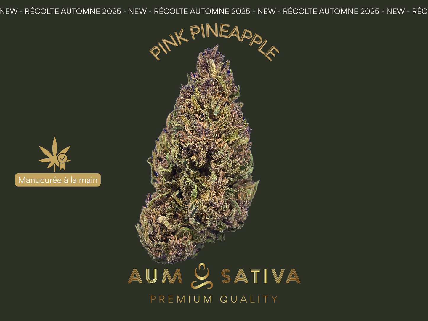 Fleurs de CBD PINK PINEAPPLE