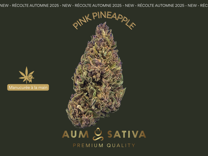 Fleurs de CBD PINK PINEAPPLE