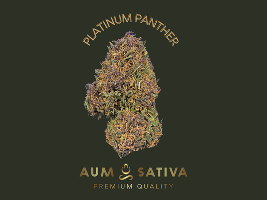 Fleurs de CBD PLATINUM PANTHER