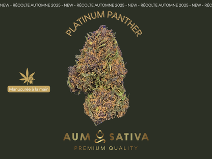 Fleurs de CBD PLATINUM PANTHER