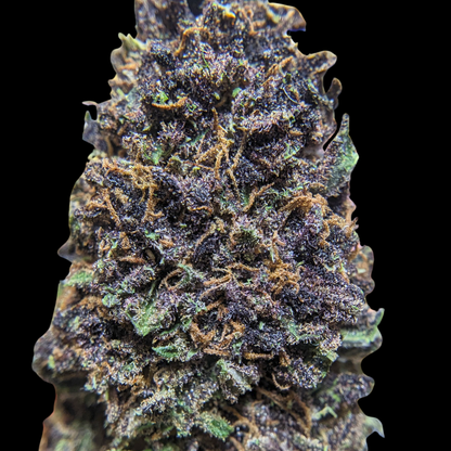 Fleurs de CBD PLATINUM PANTHER