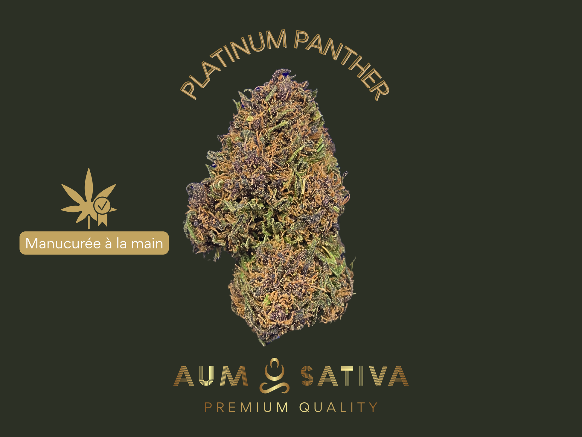 CBD bio d'exception cultivé en plein champ dans la zone cœur du parc national cévenol