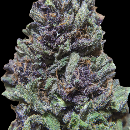 Fleurs de CBD RAINBOW SORBET