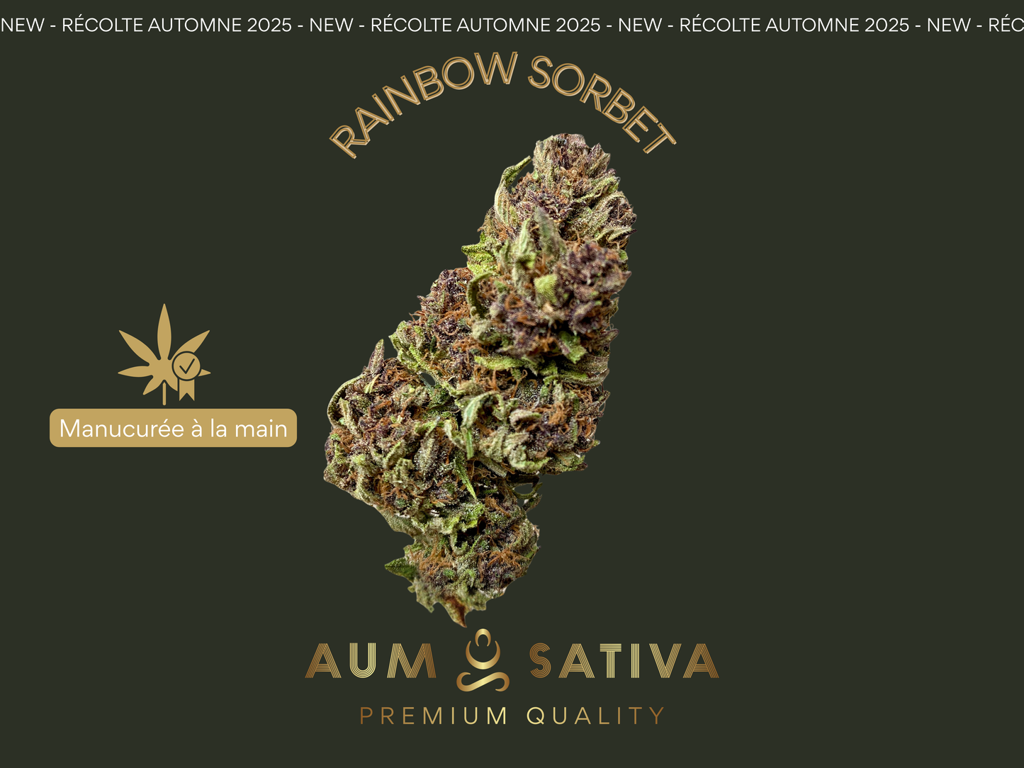 Fleurs de CBD RAINBOW SORBET