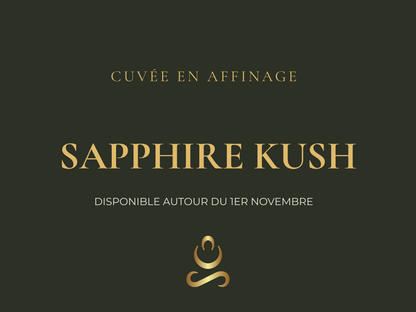 Fleur de CBD bio PSapphire Kush en cours d'affinage - Cuvée 2026 Aum Sativa cultivée en Lozère