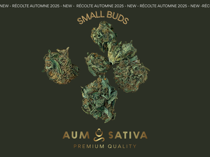 Fleurs de CBD SMALL BUDS