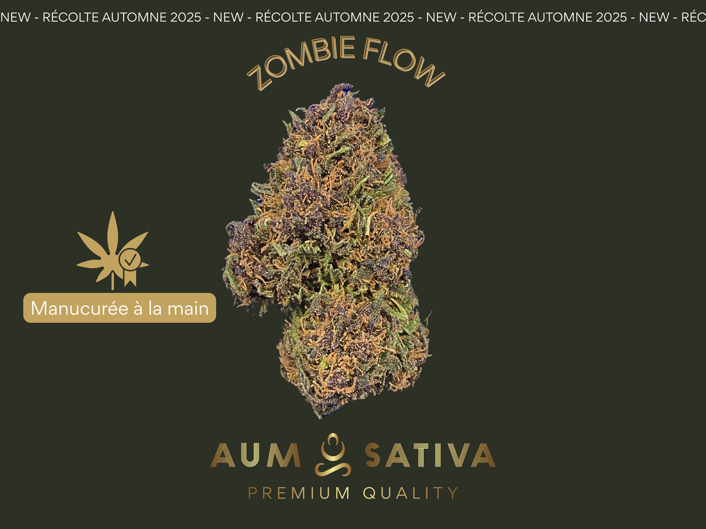 Fleurs de CBD ZOMBIE FLOW