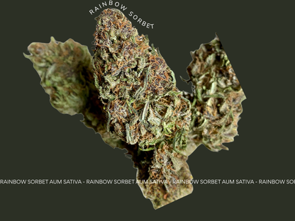 Fleurs de CBD RAINBOW SORBET